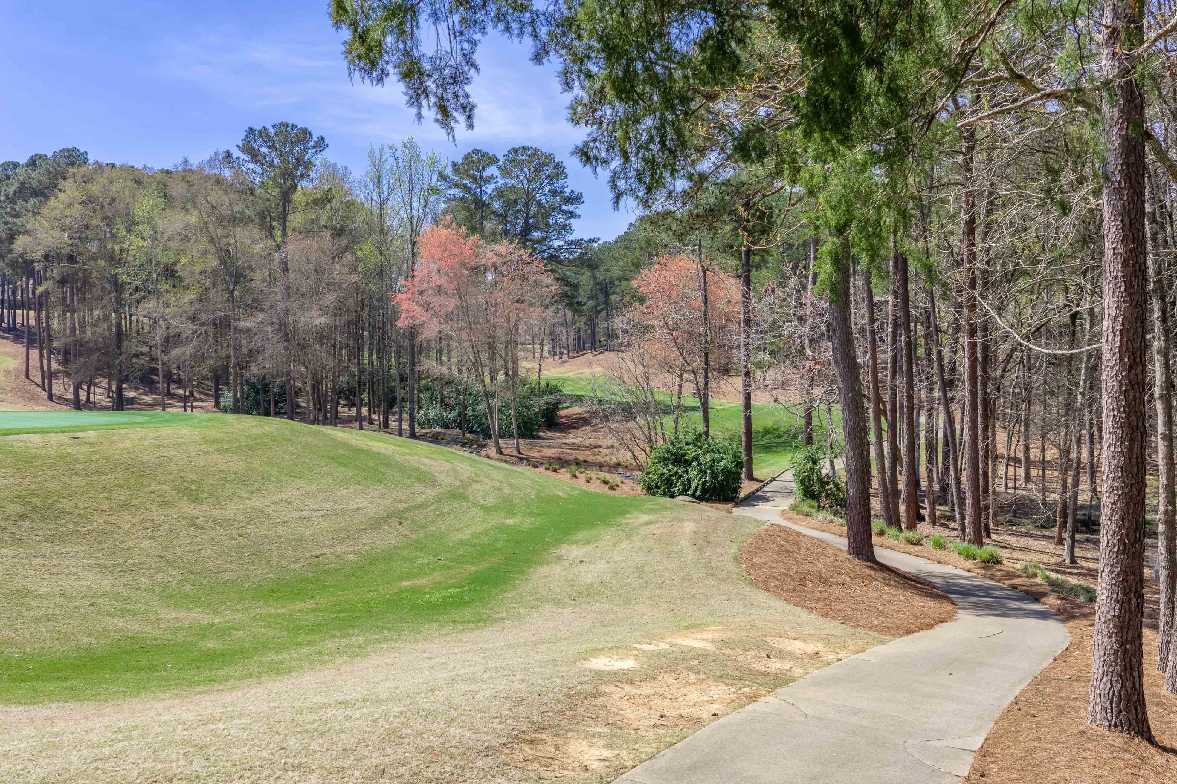 1100 Fox Bend image 63